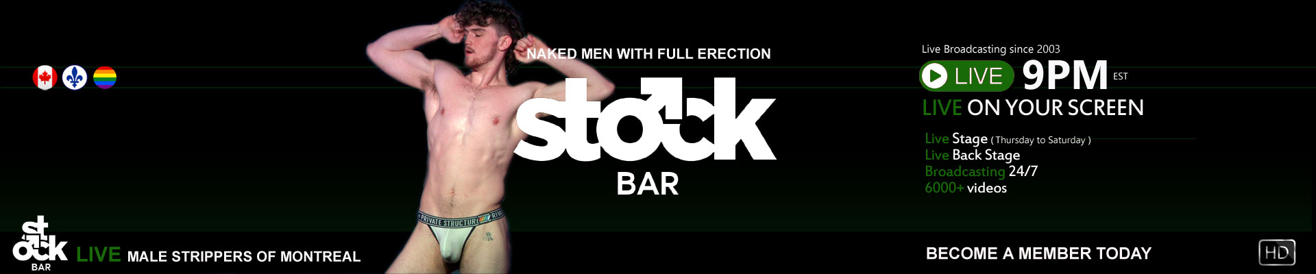 Stock Bar